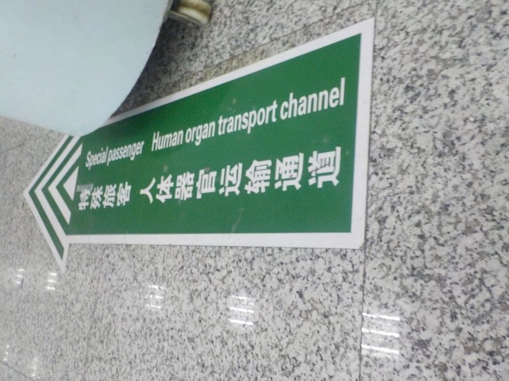 Çin, Doğu Türkistan'daki Uygur Türklerinin organlarını Arap devletlerine "helal organ" olarak satıldığı araştırmalarda ortaya çıkıyor.👇

KAŞGAR HAVAALANI ORGAN TRANSFERİ İÇİN KULLANILIYOR !       👇