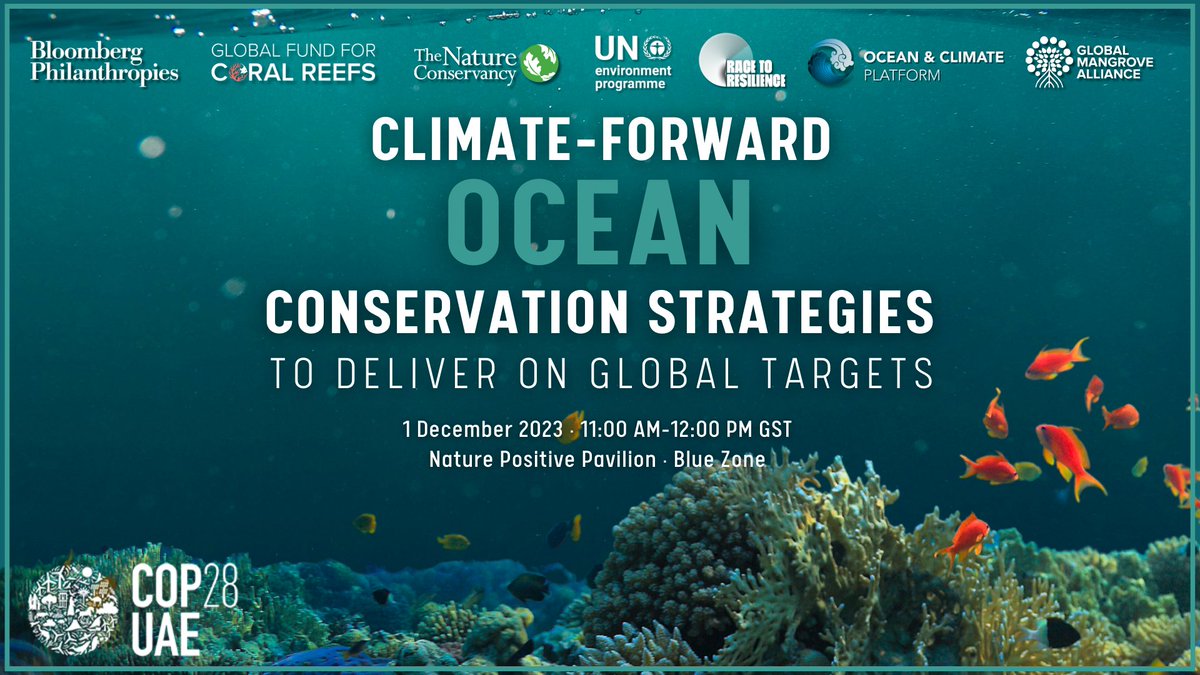 GlobalFundCoral tweet picture