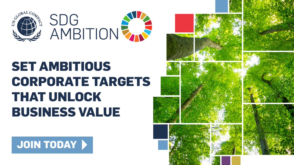 🪙 Ensuring that 100% of your employees earn a #LivingWage is proven to reduce turnover rates and increase employee efficiency. Join @globalcompact #SDGAmbition to accelerate the integration of such corporate targets into core business strategy: bit.ly/46G4EK4