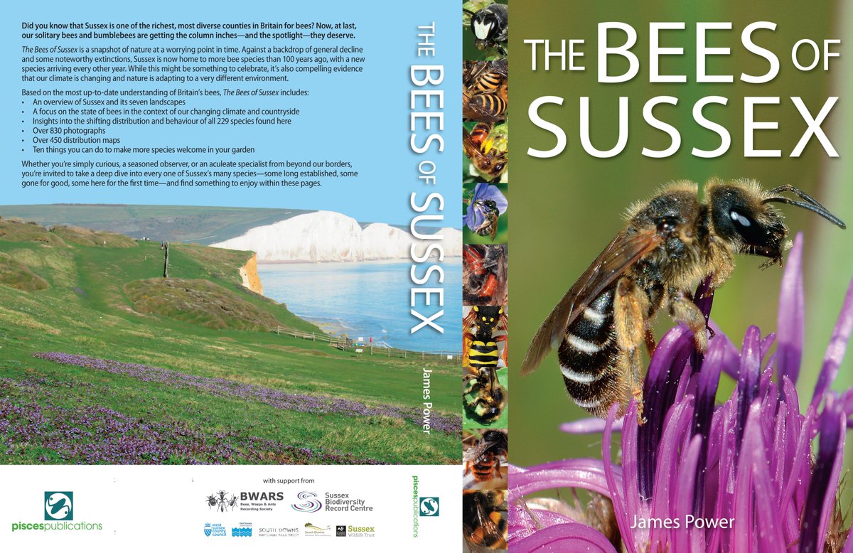 THE BEES OF SUSSEX will soon be going to print. Proceeds from the sale of the book will be donated to the Bees, Wasps &amp; Ants Recording Society and the Sussex Biodiversity Record Centre – PRE-ORDER NOW &amp; SAVE £7.50 bit.ly/3Ni7jkp <a href="/SussexWildlife/">Sussex Wildlife Trust 🦔</a> <a href="/SxBRC/">Sussex Biodiversity</a> <a href="/NESussexandKent/">Natural England - Sussex and Kent Team</a>