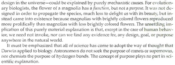 Luis Rodrigo Arce-Valdés tweet media