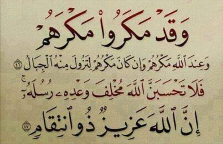 basitooooooo's tweet image. 