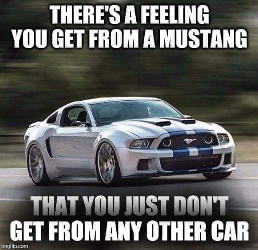 No words needed.... 
#MustangKlaus #MustangOwnersClub