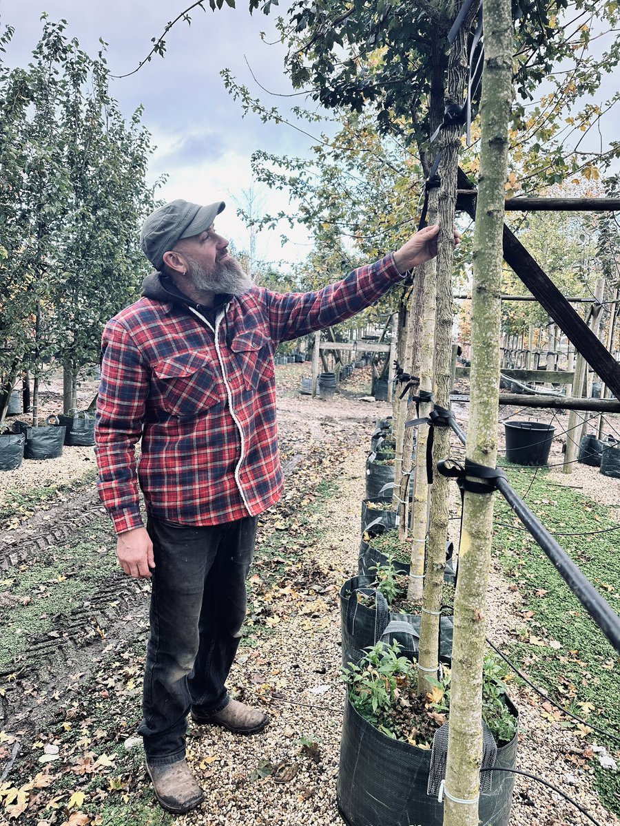 Tom ‘Wookie’ Ford tweet media