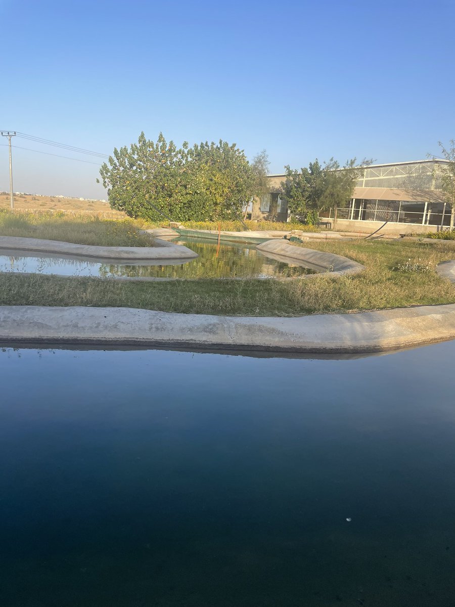 عبدالعزيز  الخالدي tweet media