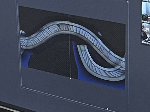 Ellen Bergan tweet media