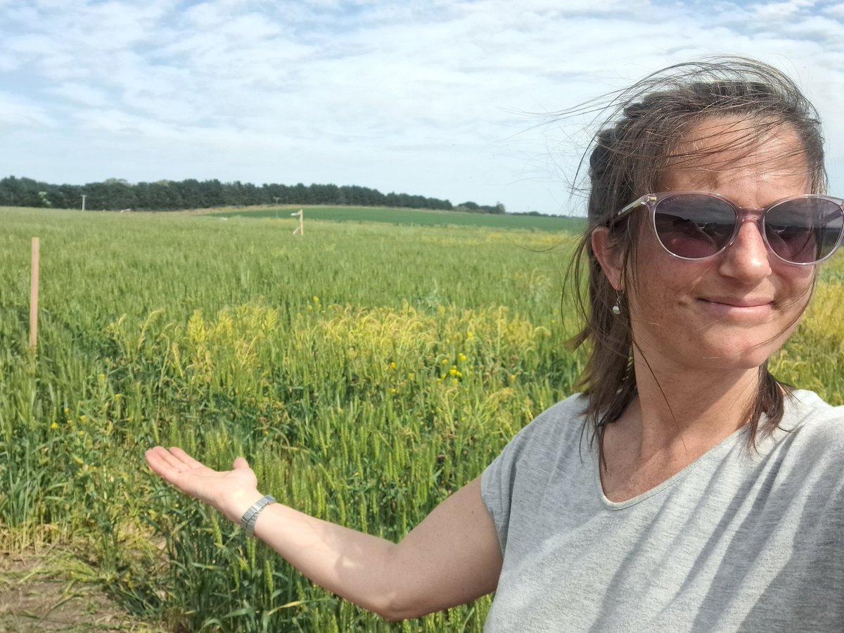 Ana Venturino tweet media