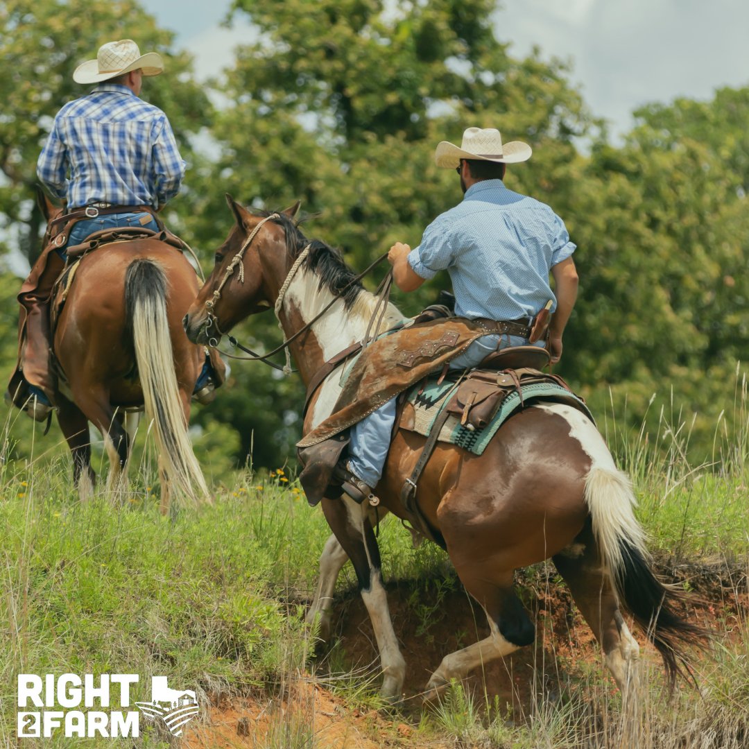 There's still time to get to the polls! 🐎🤠 

Don't miss out on your chance to protect Texas's agricultural future – get to your polling location before they close and vote YES on Proposition 1.