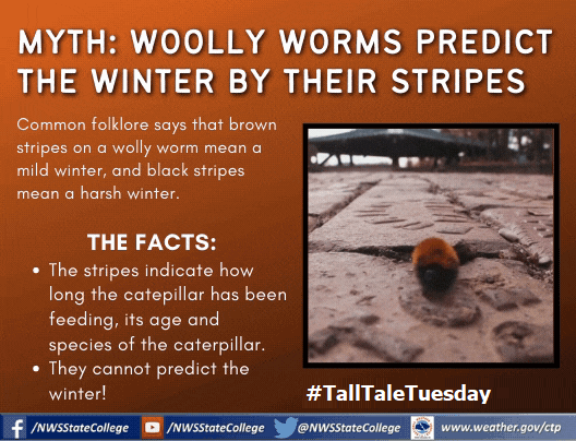 NWSStateCollege's tweet photo. Woolly worms are out and about. What do they say about the weather? Well, nothin' #TallTaleTuesday #PAwx https://t.co/QpE7ZivJu2