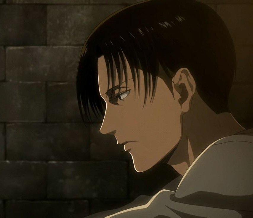 Rose ♡ Levi Ackerman tweet media