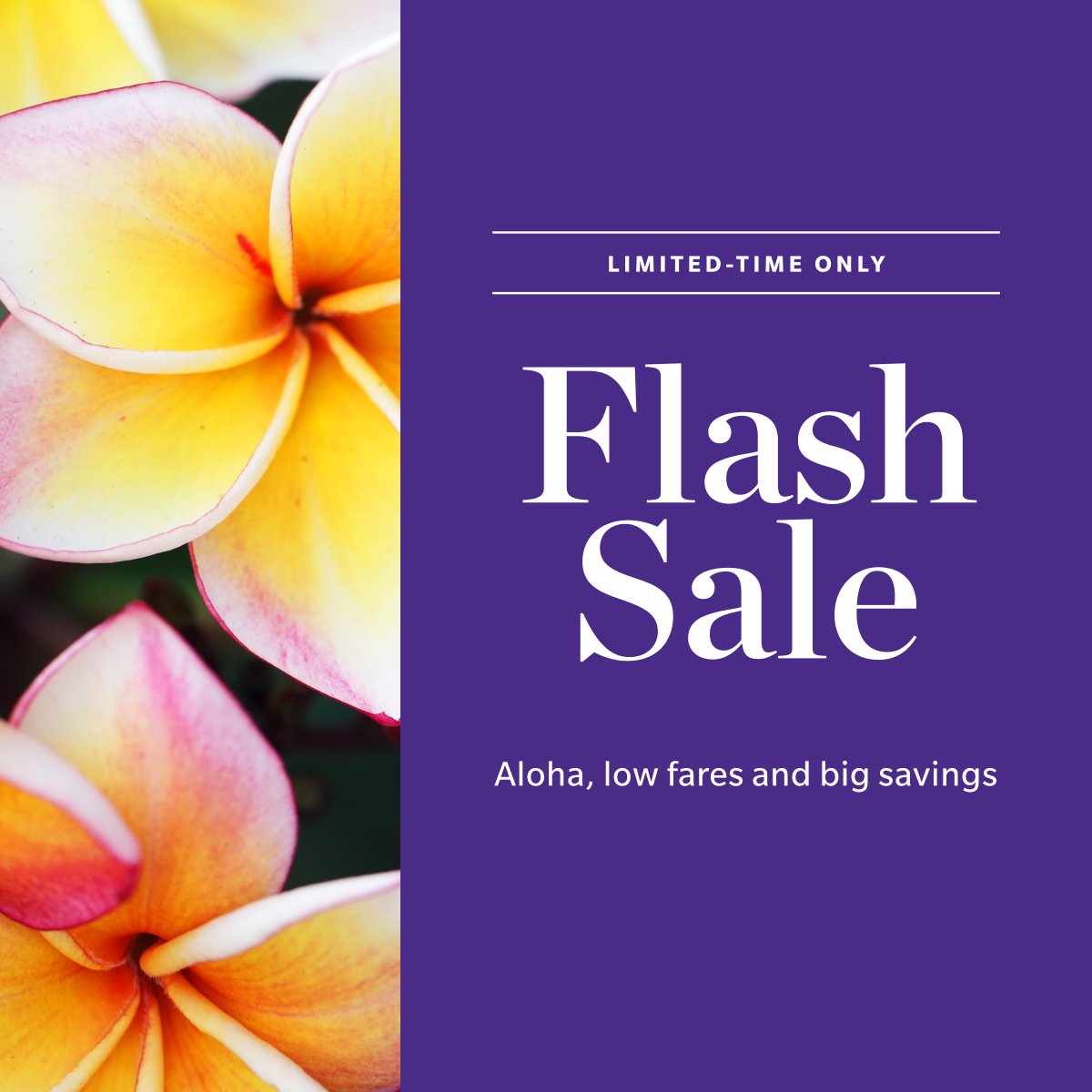 Flash sale savings