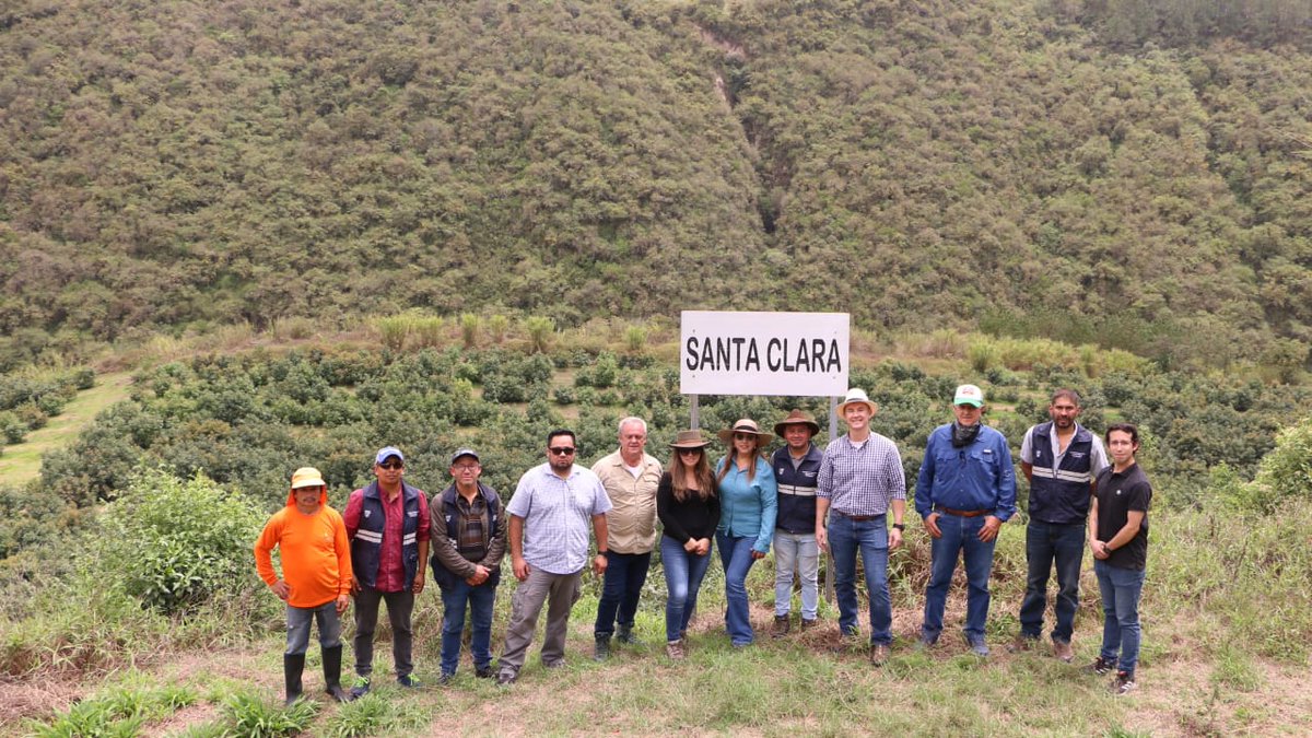 AgrocalidadEC's tweet photo. Con el objetivo de verificar la ejecución de las medidas fitosanitarias del Plan de Trabajo para exportación de aguacate a EEUU, técnicos de #Agrocalidad y @USDA_APHIS inspeccionan finca Irubi Terra en San José de Minas y finca AlfaDeli en Salinas-Ibarra.
#ExportamosCalidad https://t.co/PctqwBACJO