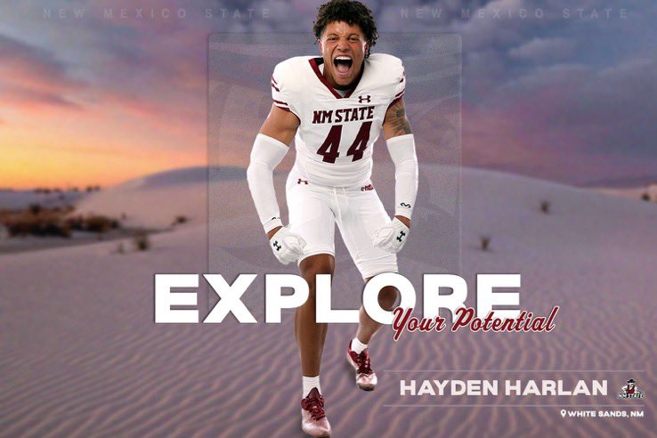 Hayden Harlan tweet media