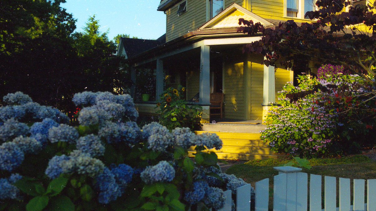 eamonsphotoss's tweet image. Walks around town