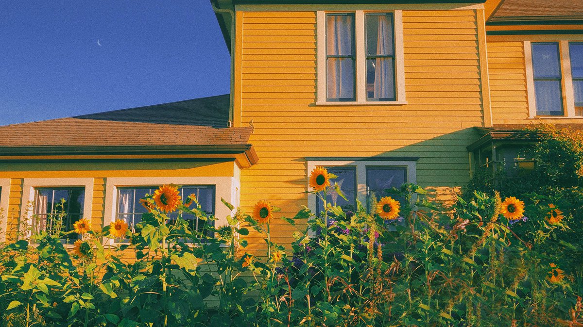 eamonsphotoss's tweet image. Walks around town