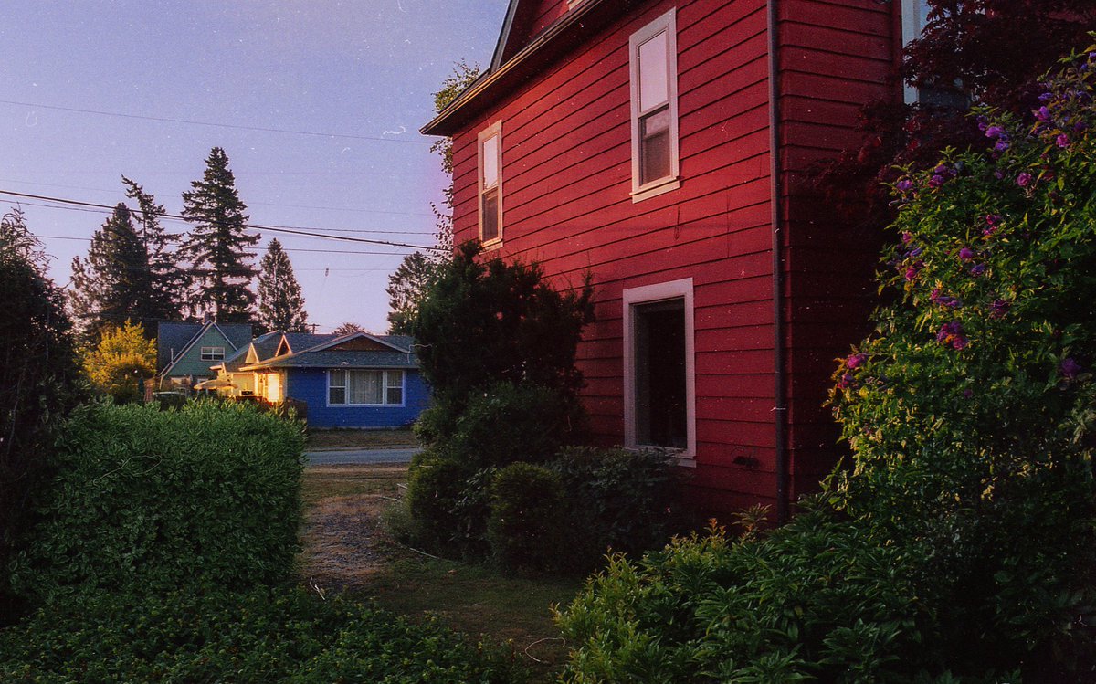 eamonsphotoss's tweet image. Walks around town