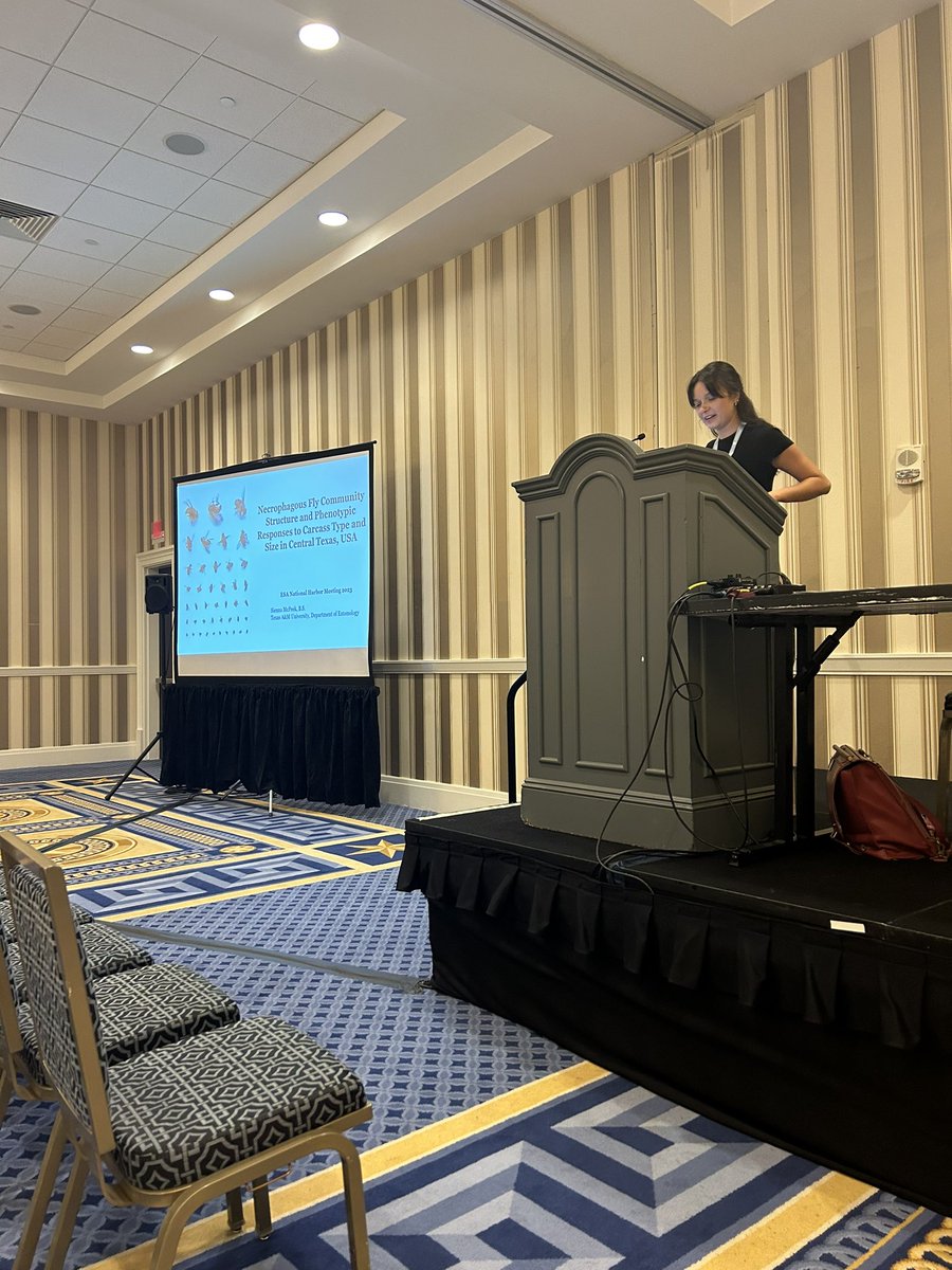 FliesFacility's tweet image. Second group of students (couldn’t fit in first post- Great seeing @FliesFacility members presenting at the @EntsocAmerica conference in Washington DC- #bsf #decomposition #forensicentomology @tamuentomology