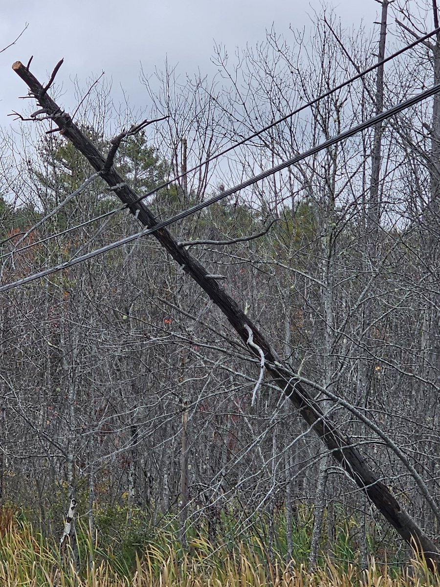 MadManGoneSane's tweet image. Still there.  Been there for 6 months.  Personally reported twice to @cmpco . Maybe they are waiting till they get the result of the voting on #PineTreePower to see if it&apos;s their problem or not.  This is why people hate CMP....