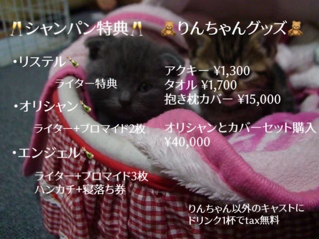 2023.11.10 22時より
りんちゃんのお誕生日会への優先権が発売されます。

https://t.co/PfPleFAWly

受付期間
11/10.22:00 - 11/20.22:00

※整理券という訳ではなく
混雑時に優先的に案内される券となっております。 https://t.co/jPGV05f79k