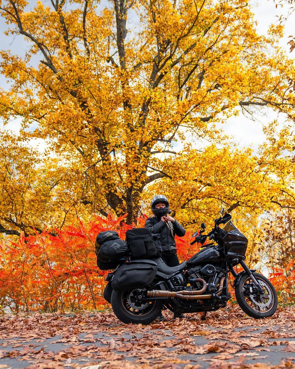 Peak Fall time is the best time 🍁🍂🤌

<a href="/ridetofood/">ridetofood</a>