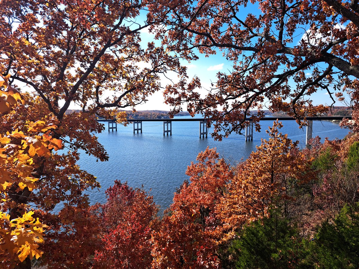 MaryAlbers4Seas's tweet image. What a picture perfect day here at the Lake of the Ozarks today!  #lakeoftheozarks #communitybridge #november #fall #maryalbersgroup #kellerwilliams