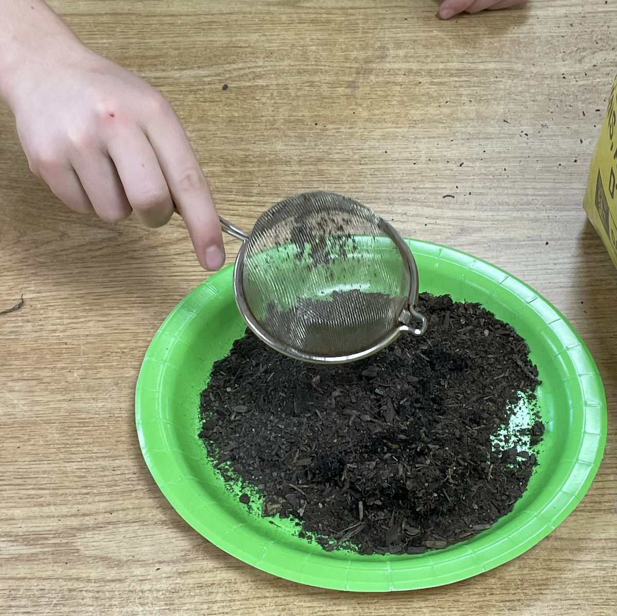 Mr.Green_PWE tweet media