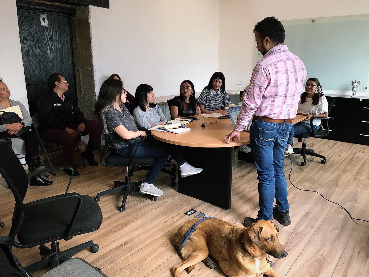 Ollin AC tweet media