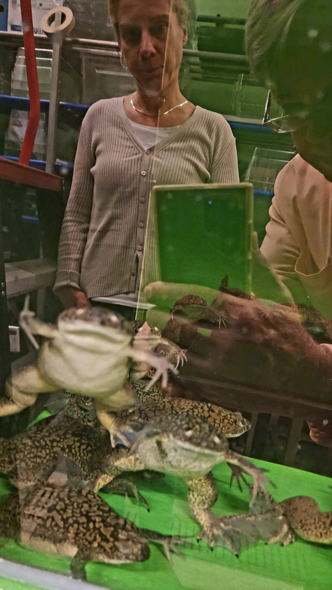 Ben Van Houten tweet media