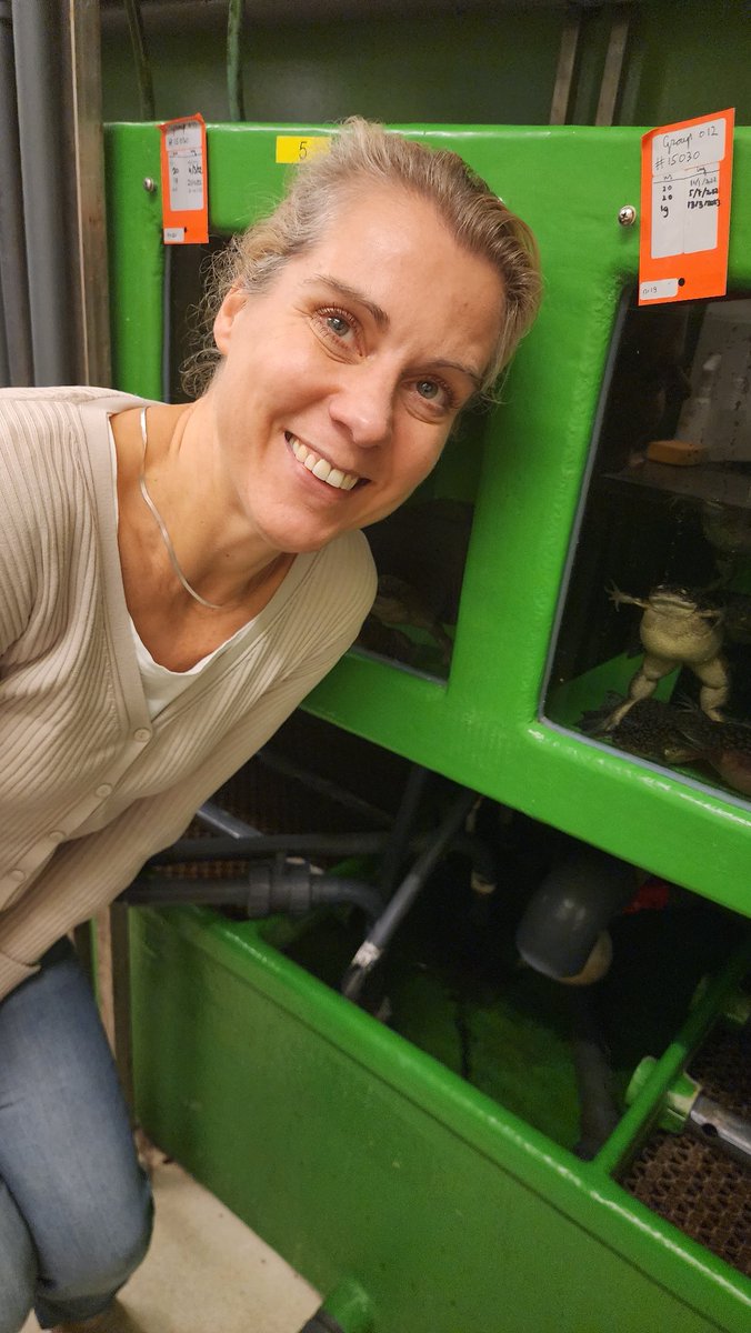 Ben Van Houten tweet media