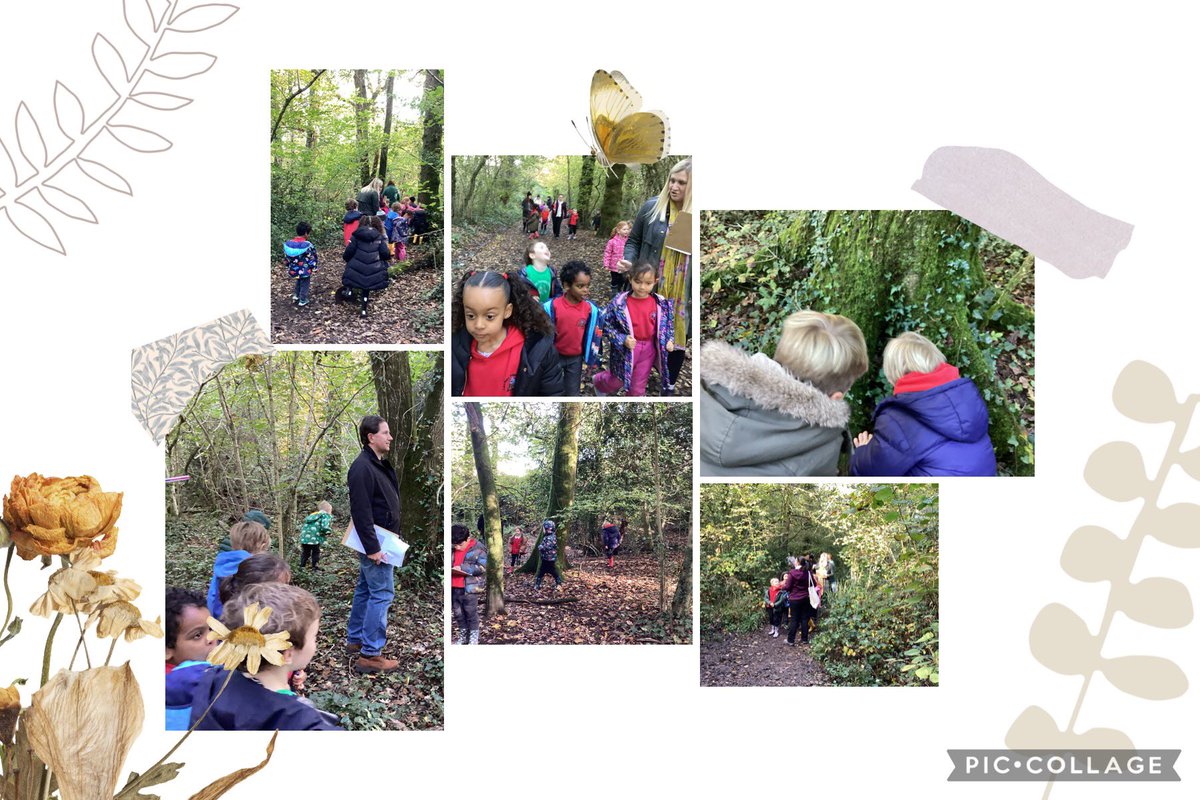 Llysfaen2029's tweet image. @Llysfaen2029 An amazing start to our new topic In The Wild, with an afternoon stroll down to Coed Y Felin woods. #1CS loved exploring and trying to find interesting things! No stone was left unturned!
@HCI #cscjes #Humanities #Lisvane