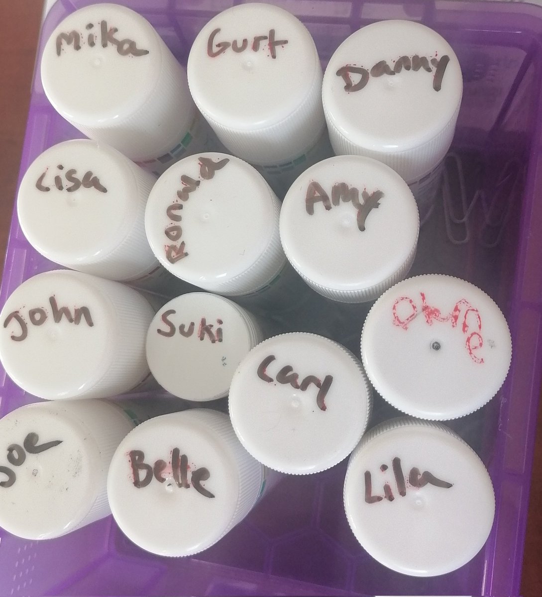 My new glustick family