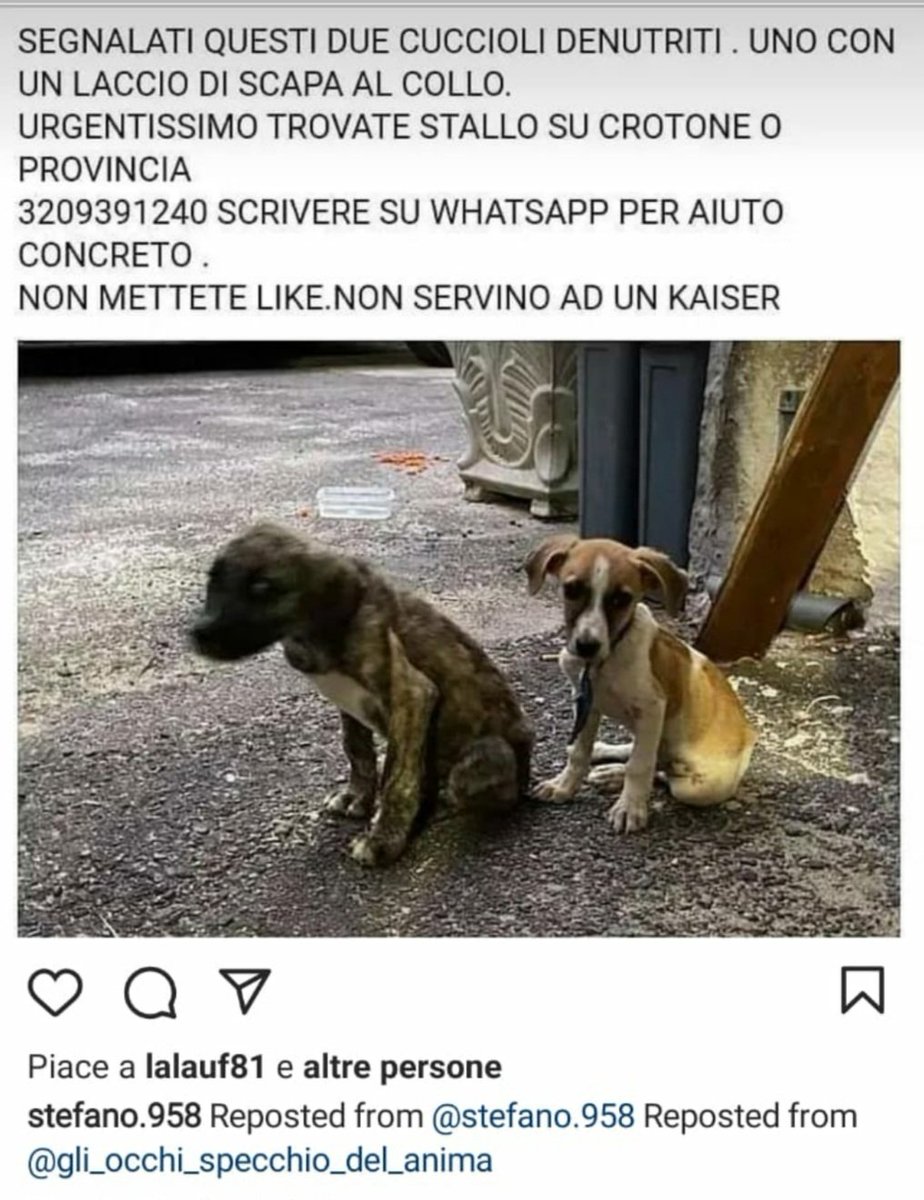 Gabriella Barghini tweet media