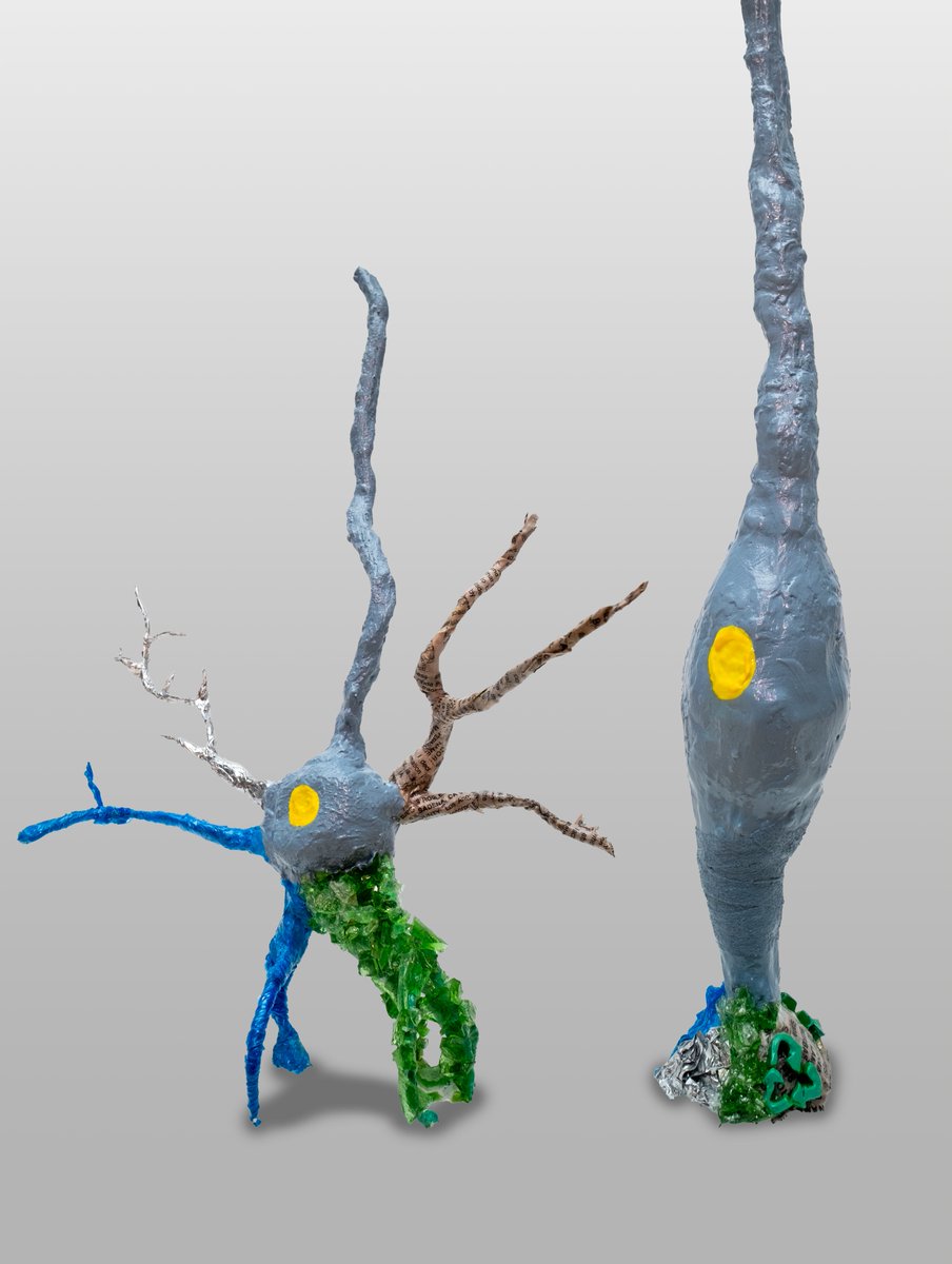 USC Stem Cell (@uscstemcell) on Twitter photo Variants of #SYNGAP1, an autism-linked gene previously thought only to affect synapses, may disrupt early brain development. The findings from the lab of <a href="/GiorgiaQuadrato/">Giorgia Quadrato</a> appear in <a href="/NatureNeuro/">Nature Neuroscience</a>. <a href="/cureSYNGAP1/">SynGAP Research Fund (SRF)</a> <a href="/USCStemCell/">USC Stem Cell</a> @KeckSchool_USC stemcell.keck.usc.edu/autism-linked-… Variants of #SYNGAP1, an autism-linked gene previously thought only to affect synapses, may disrupt early brain development. The findings from the lab of <a href="/GiorgiaQuadrato/">Giorgia Quadrato</a> appear in <a href="/NatureNeuro/">Nature Neuroscience</a>. <a href="/cureSYNGAP1/">SynGAP Research Fund (SRF)</a> <a href="/USCStemCell/">USC Stem Cell</a> @KeckSchool_USC stemcell.keck.usc.edu/autism-linked-…