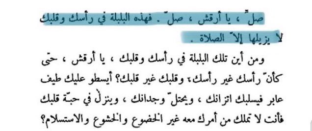 بلقيس tweet media