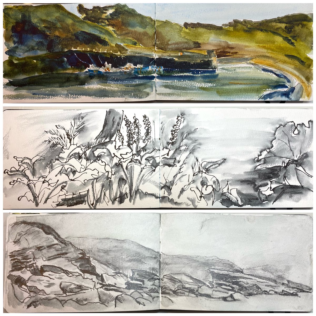 I recently had a wonderful week in Cornwall with some artist friends and we went drawing every day. Here are my sketchbook pages collaged together. #drawing #sketchbook #moleskine