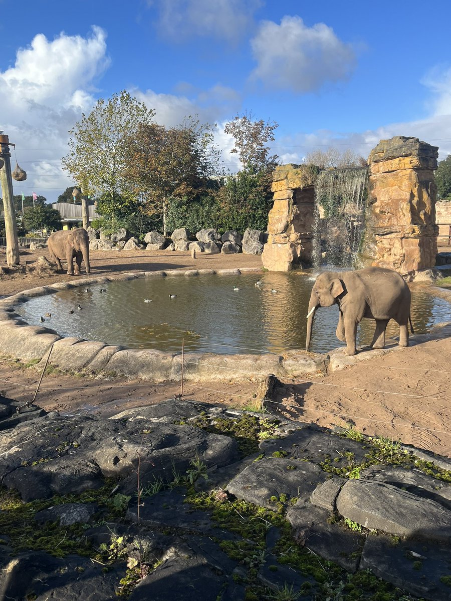 csblacka's tweet photo. Had an amazing day at @chesterzoo with @ACCE_DTP ahead of the annual ACCE DTP conference! https://t.co/lSVzJZfQbP