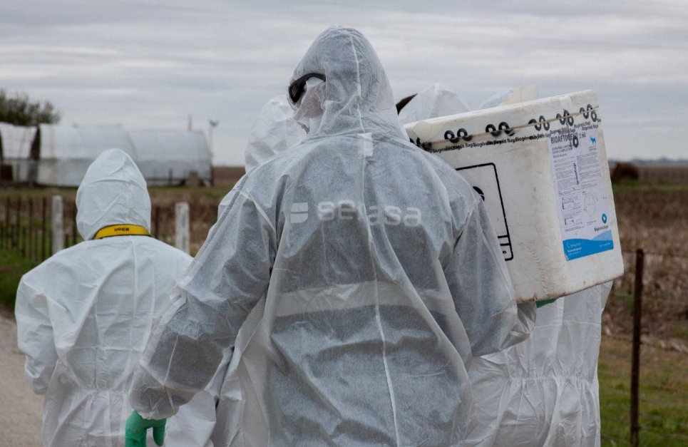 #SenasaFederal #Córdoba 
Finalizó el ejercicio de simulación de campo a escala completa para las enfermedades porcinas, que organizamos junto al <a href="/intaargentina/">INTA</a>
 el <a href="/MinAgriCba/">Ministerio de Bioagroindustria de Córdoba</a>
el municipio de Marcos Juárez y las cámaras empresariales porcinas.

Más info ➡️ t.ly/KHd8d