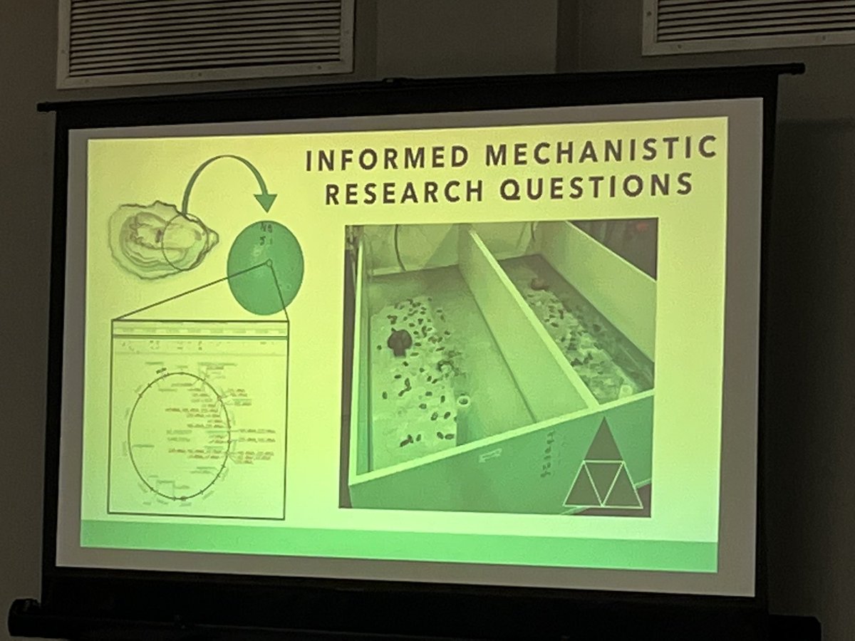 Rachel Noble (@waterunc) on Twitter photo Fantastic presentation on oyster mortality related molecular methods development <a href="/mark_ciesielski/">Mark Ciesielski</a> <a href="/NCCollaboratory/">NC Collaboratory</a> <a href="/NCShellfish/">North Carolina Shellfish Growers Association</a> Fantastic presentation on oyster mortality related molecular methods development <a href="/mark_ciesielski/">Mark Ciesielski</a> <a href="/NCCollaboratory/">NC Collaboratory</a> <a href="/NCShellfish/">North Carolina Shellfish Growers Association</a>