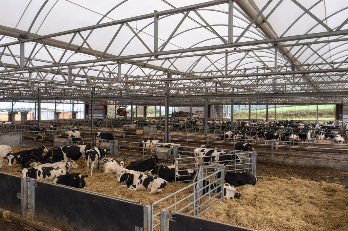 molevalley's tweet photo. We’re privileged to work with some amazing farm teams, so we’ve pulled together just a few to form our Focus Farms group. It includes Stowell Farms, milking 780 cows through 12 robots &amp; @DuchyCollege Future Farm ➡️  https://t.co/wcBp9yRxkG 
#FocusFarmsMVF #DiscoverDuchy https://t.co/WfnfwhecZG