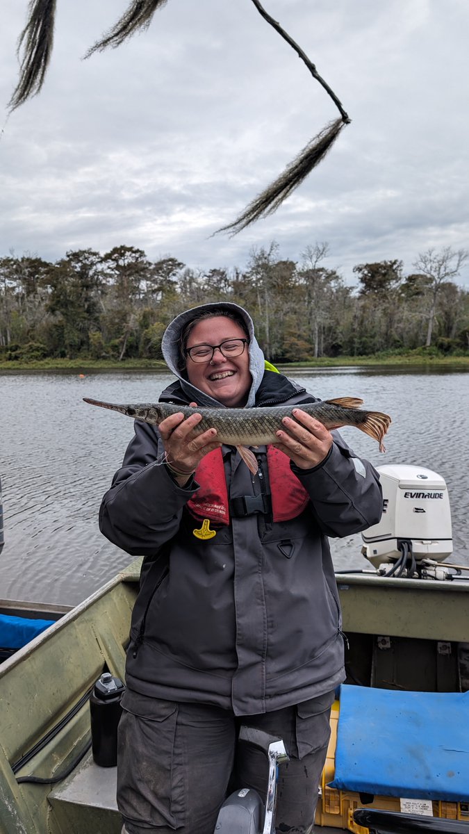 KaseaPrice's tweet photo. It's #GarWeek again! Thanks, @OKWildlifeDept for the reminder! Here are 3/4 of the #gar species we have in Mississippi! #LongnoseGar #AlligatorGar #SpottedGar https://t.co/5iSBpN7jam