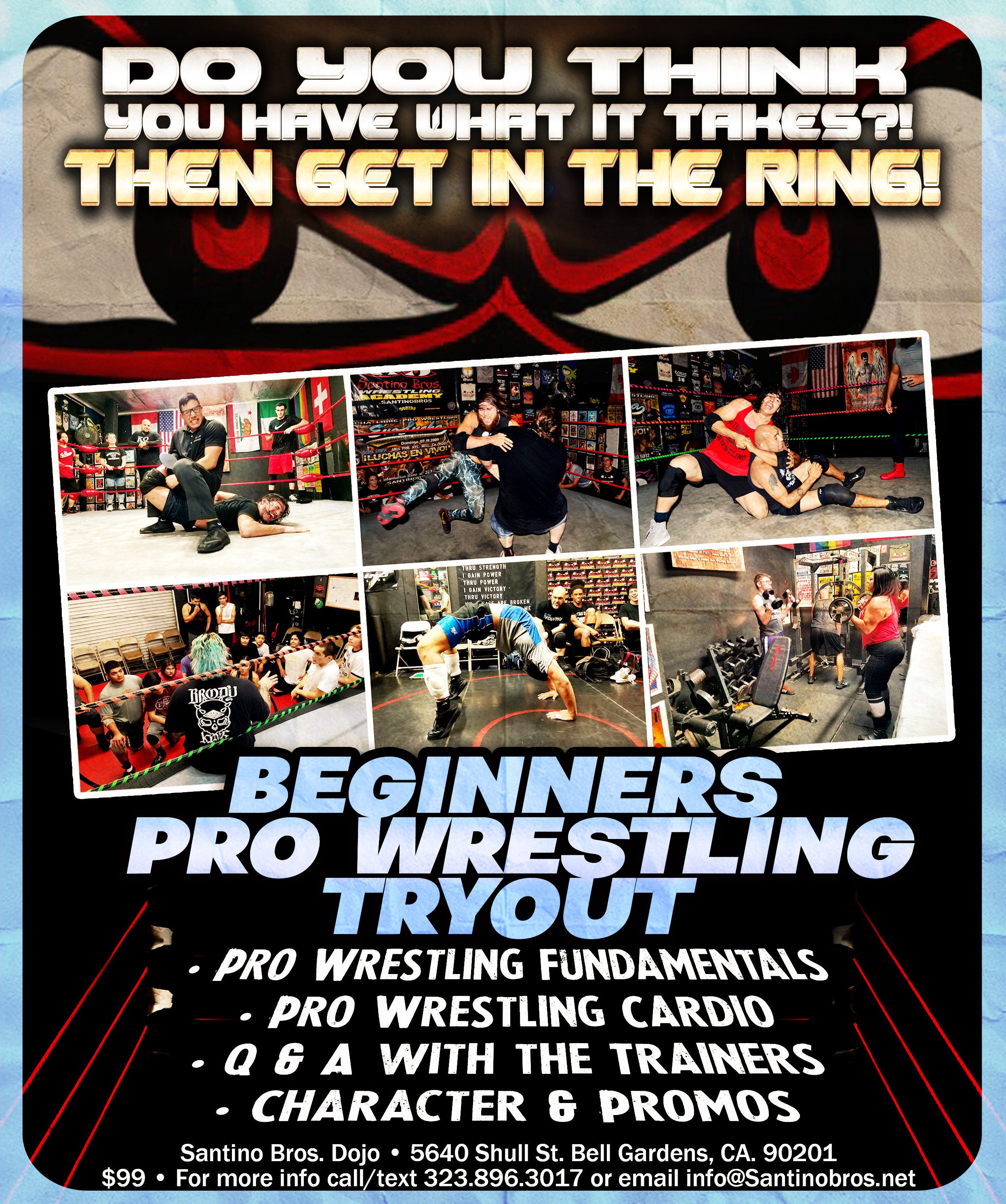 Beginners Pro Wrestling School