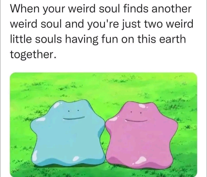 WholesomeMeme's tweet photo. https://t.co/kTc9PMl4zg