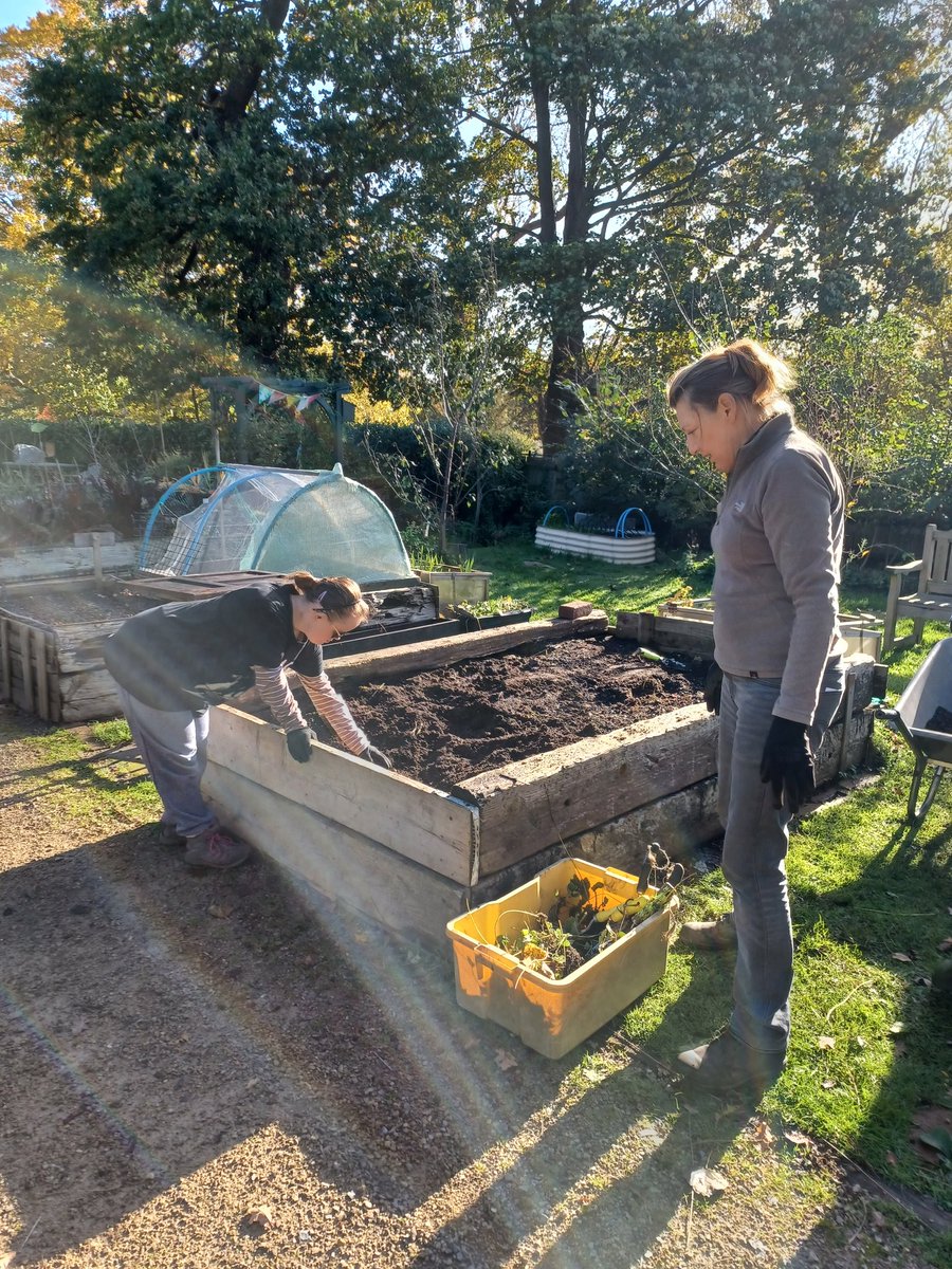 Beautiful autumn sunshine at Jubilee Lodge.