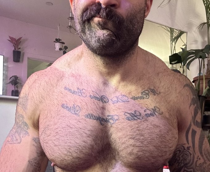 Tiddy Tuesday https://t.co/oC8OQw3zjU