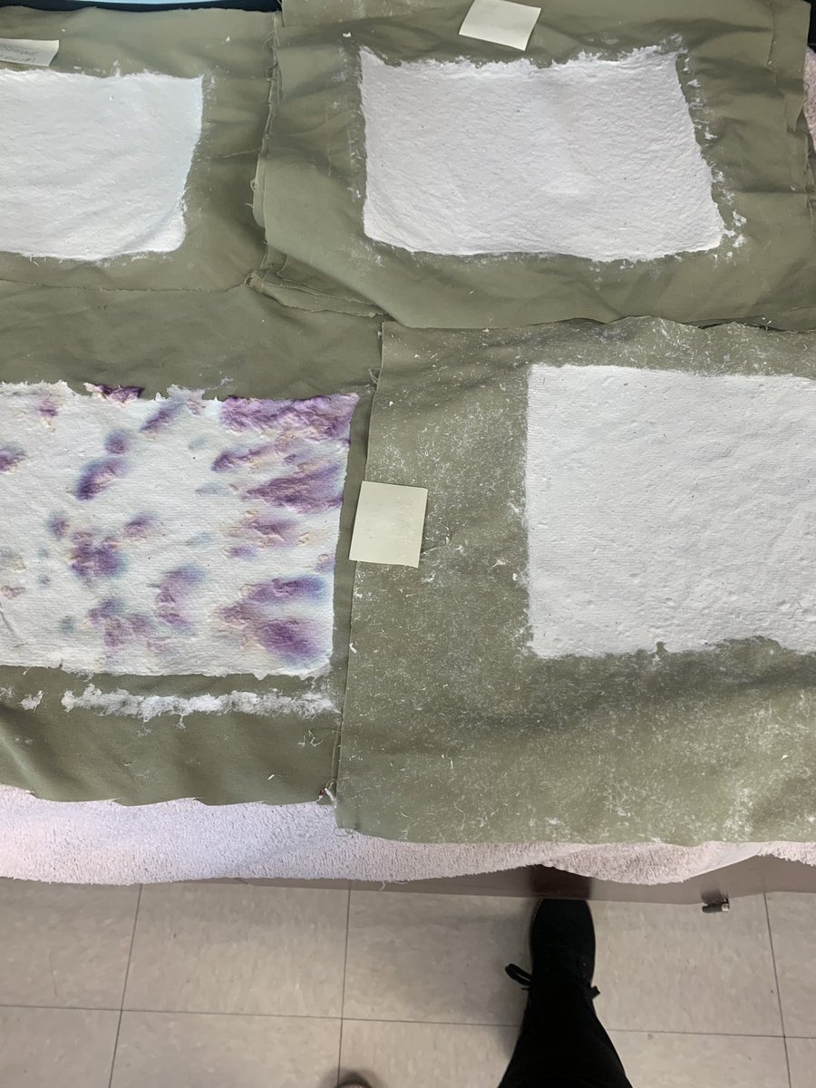 Catrina Niven tweet media