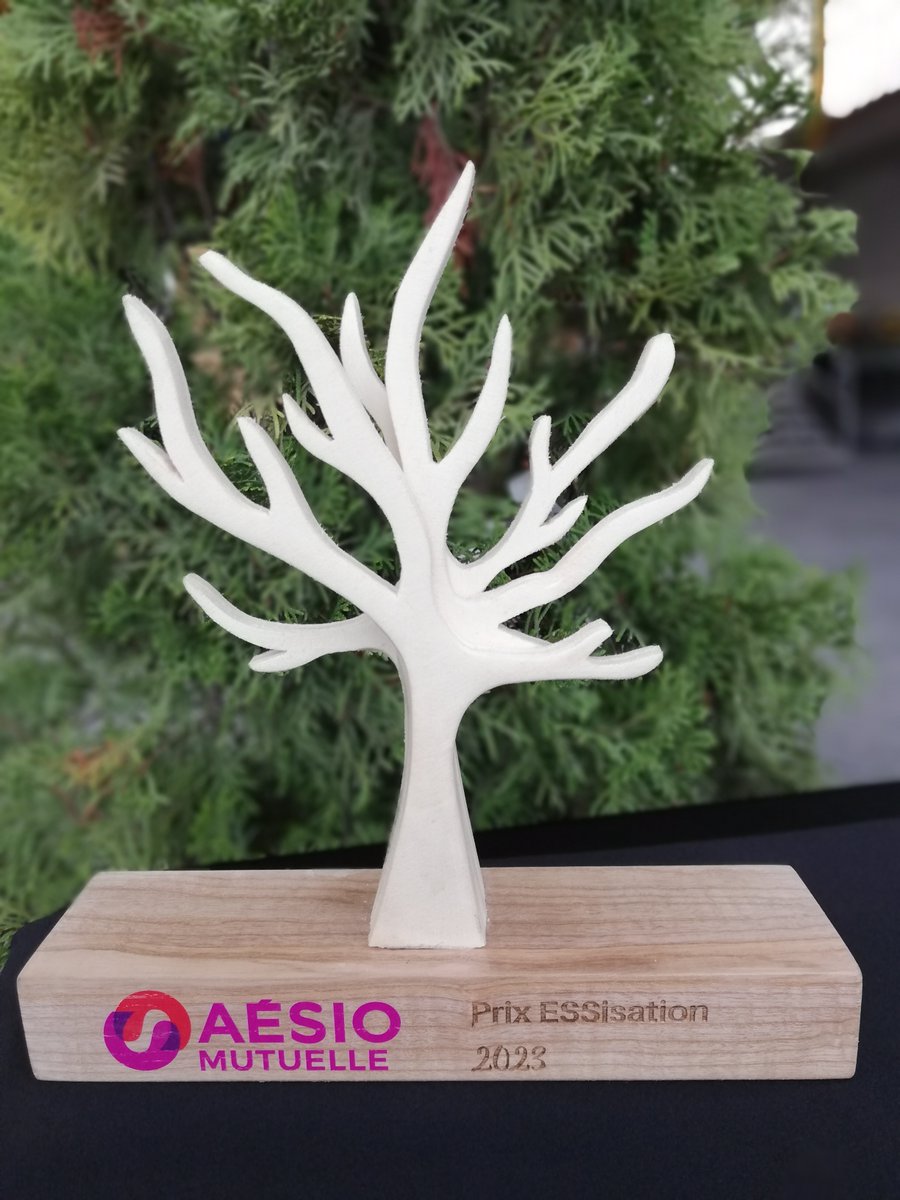 📣Un trophée en bois de récupération réalisé par l’association Bois de demain qui facilite l’insertion de personnes éloignées de l’emploi grâce à la fabrication de mobilier design. ON ADORE !🤗
Merci à la <a href="/CressHdf/">CressHDF</a> pour cette réalisation qui reflète nos valeurs !