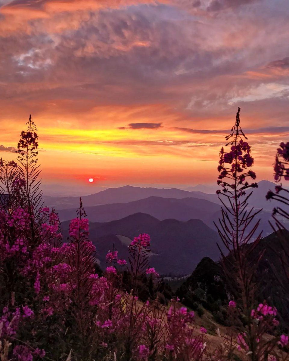 TLeoni311's tweet image. Good evening 💫 🧡