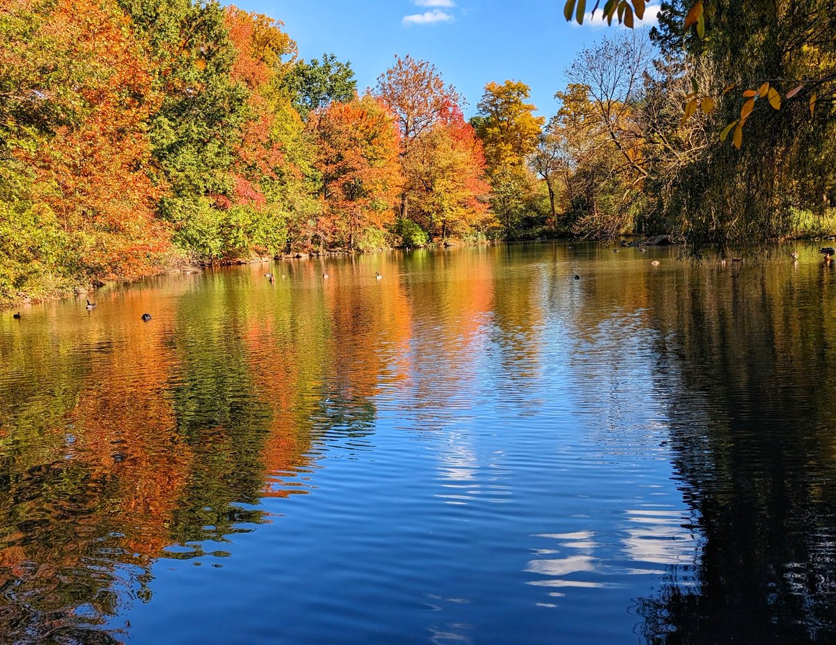 Christian Cebrián VO #94 tweet media