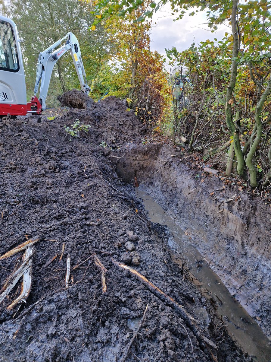 ChorleyGolfClub's tweet image. 7/11
@DiggerduncTPL back in today down at the 13th. Turned into a big job on the main drain running along the fence line as this is where we&apos;re running the drain from the left of the green. Blocked by tree roots so needed to sort this and drain the greenside bunker on the right.