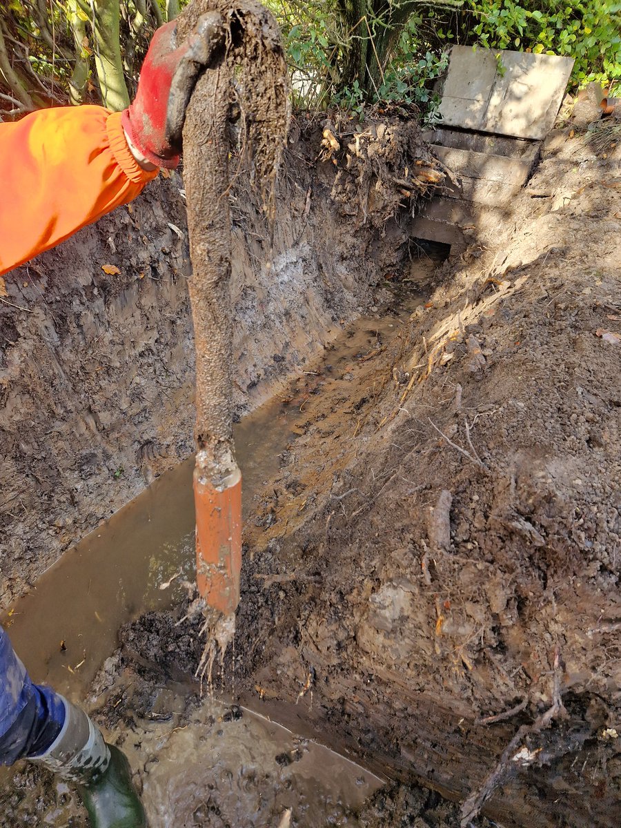 ChorleyGolfClub's tweet image. 7/11
@DiggerduncTPL back in today down at the 13th. Turned into a big job on the main drain running along the fence line as this is where we&apos;re running the drain from the left of the green. Blocked by tree roots so needed to sort this and drain the greenside bunker on the right.
